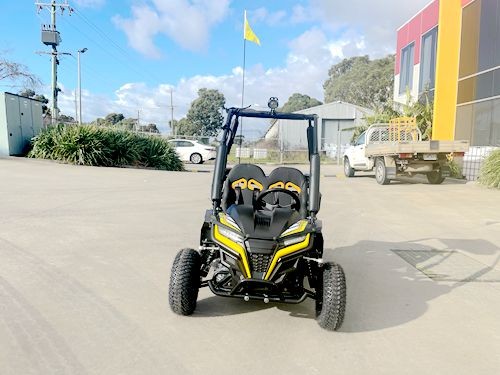KIDS BUGGY F-N-R 163cc 😎😎😎