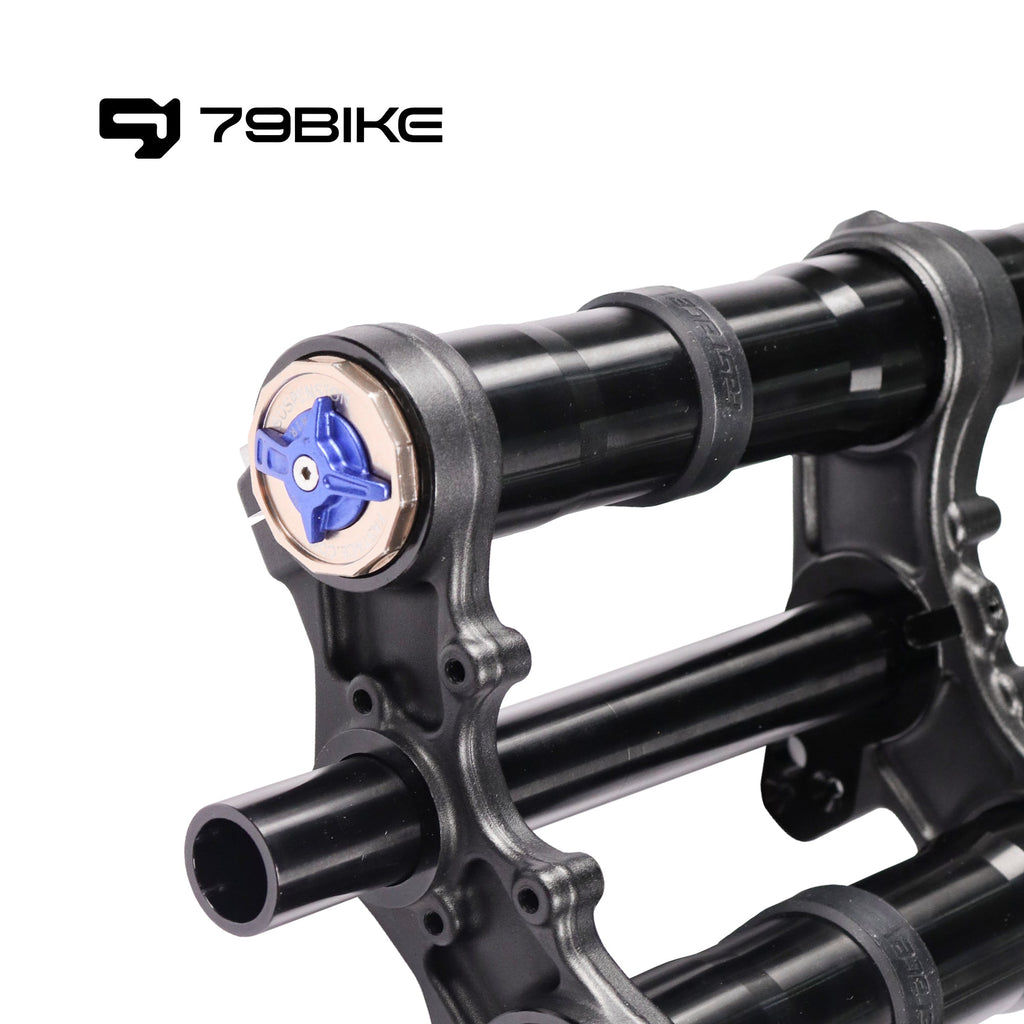 79Bike Falcon Pro FastAce ALX33RC 2.0 Fork product image 5