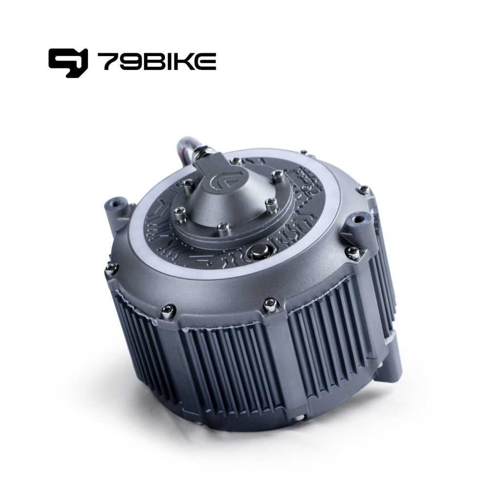 79Bike Falcon Pro Motor product image 1