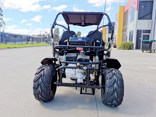 300cc Fuel Injected Buggy Off-Road 🤙🤙🤙