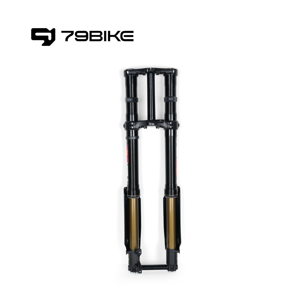 79Bike Falcon Pro FastAce ALX33RC 2.0 Fork product image 4