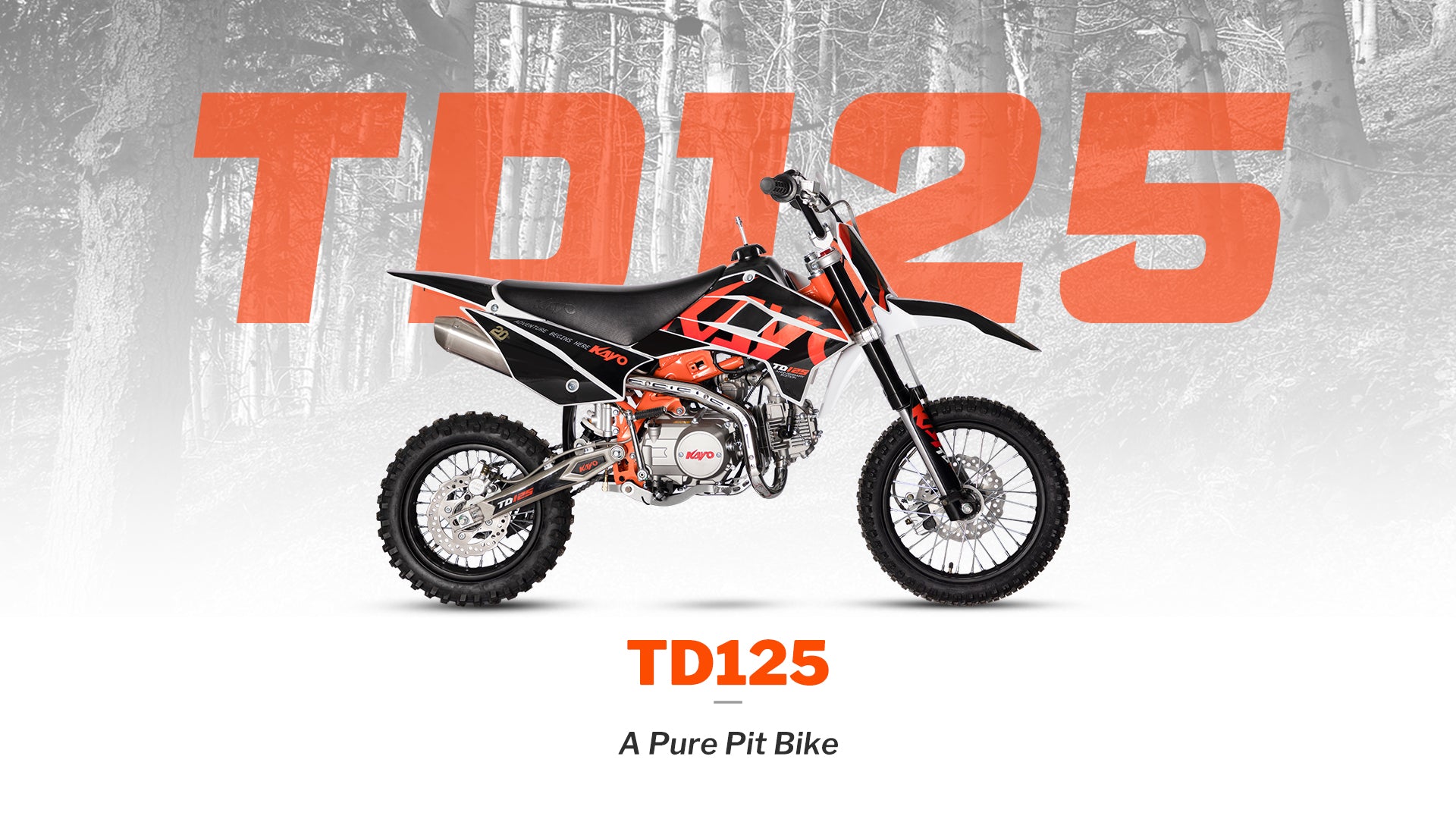 2025 KAYO TD125 SEMI AUTO DIRT BIKE 😎😎😎