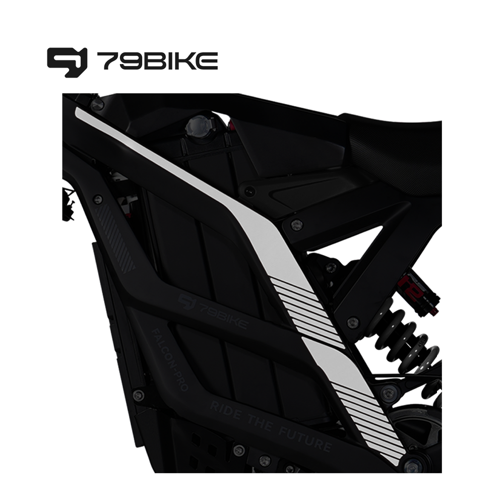 79Bike Falcon Pro Stickers product image 2