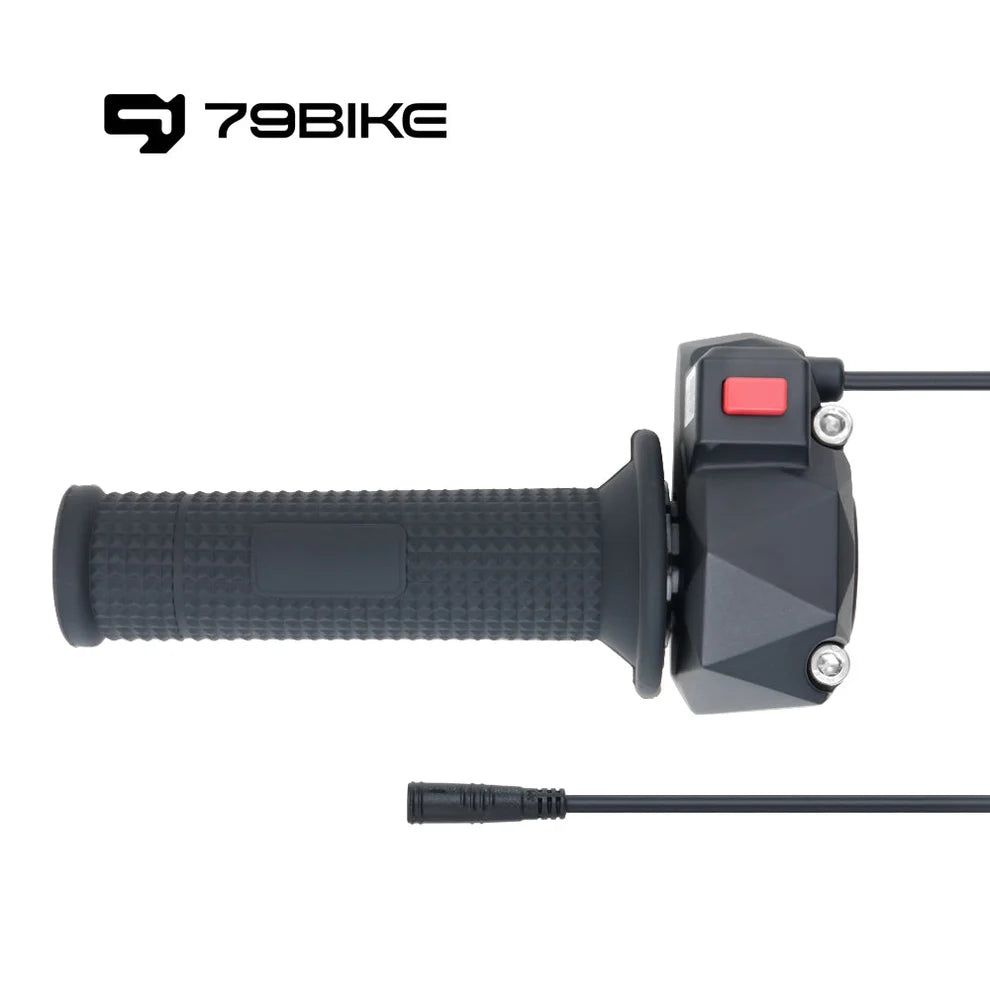 79 BIKE FALCON PRO THROTTLE