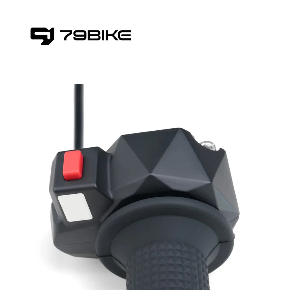 79 BIKE FALCON PRO THROTTLE