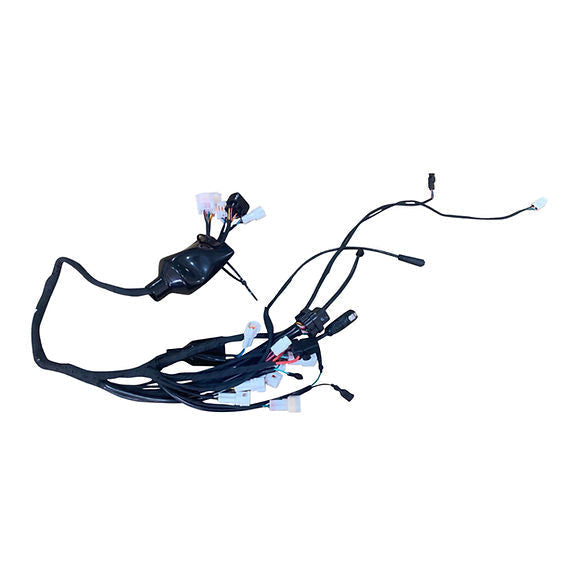 E Ride Pro E7231 Main wiring harness 2.0