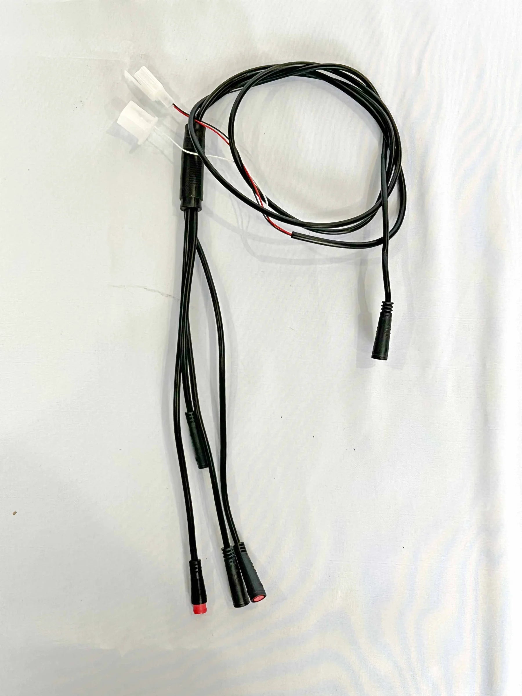 Accessory Harness - Rizzler 2026