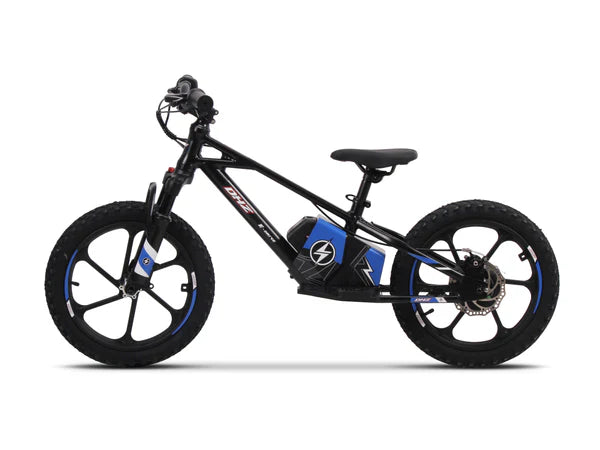 DHZ 16" 800W Electric Balance Bike, Removable Battery, Brushless Hub Motor ⚡⚡⚡