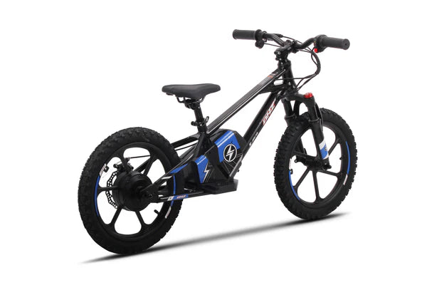 DHZ 16" 800W Electric Balance Bike, Removable Battery, Brushless Hub Motor ⚡⚡⚡