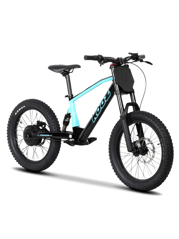 DHZ 20" 750W Electric Balance Bike, Rear Brushless Motor ⚡⚡⚡ETA 10/10/25