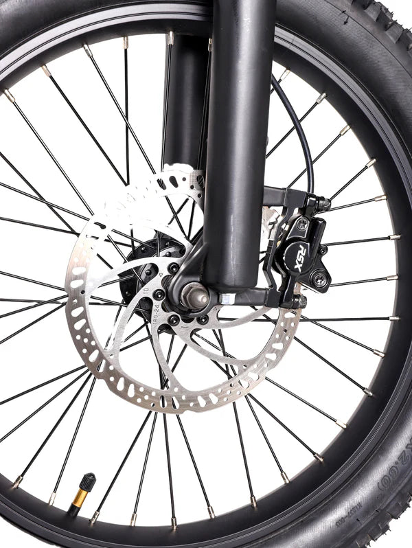 DHZ 20" 750W Electric Balance Bike, Rear Brushless Motor ⚡⚡⚡ETA 10/10/25
