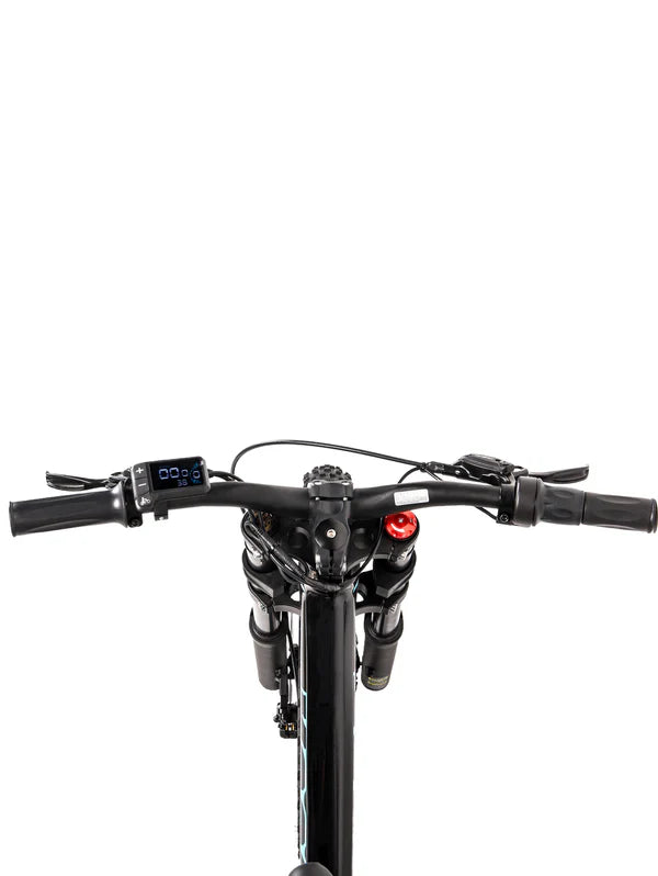 DHZ 20" 750W Electric Balance Bike, Rear Brushless Motor ⚡⚡⚡ETA 10/10/25