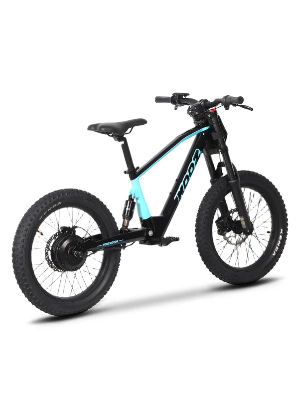 DHZ 20" 750W Electric Balance Bike, Rear Brushless Motor ⚡⚡⚡ETA 10/10/25