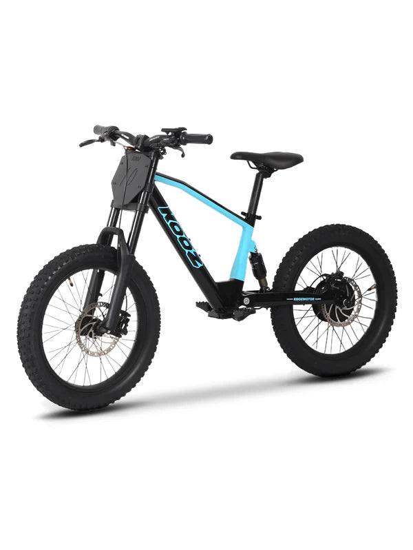 DHZ 20" 750W Electric Balance Bike, Rear Brushless Motor ⚡⚡⚡ETA 10/10/25