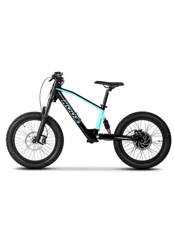 DHZ 20" 750W Electric Balance Bike, Rear Brushless Motor ⚡⚡⚡ETA 10/10/25
