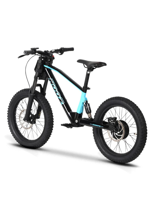 DHZ 20" 750W Electric Balance Bike, Rear Brushless Motor ⚡⚡⚡ETA 10/10/25