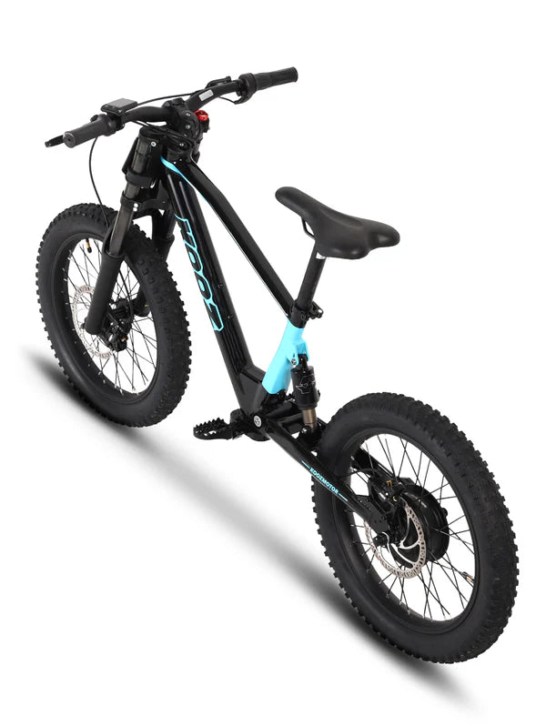 DHZ 20" 750W Electric Balance Bike, Rear Brushless Motor ⚡⚡⚡ETA 10/10/25