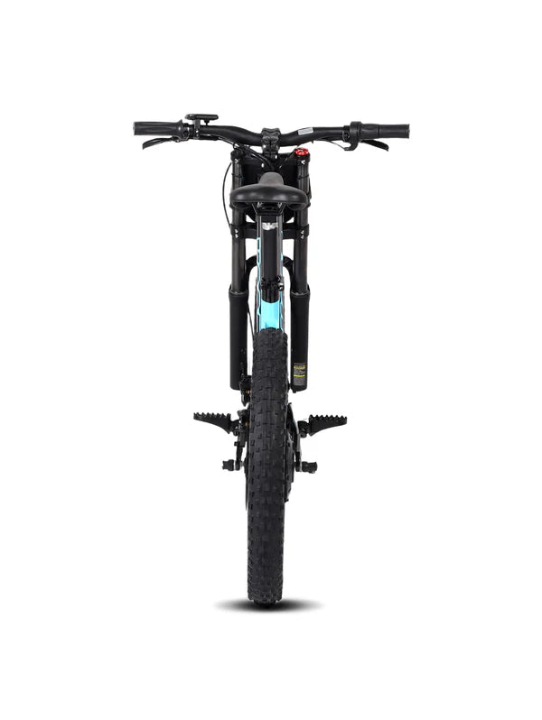 DHZ 20" 750W Electric Balance Bike, Rear Brushless Motor ⚡⚡⚡ETA 10/10/25