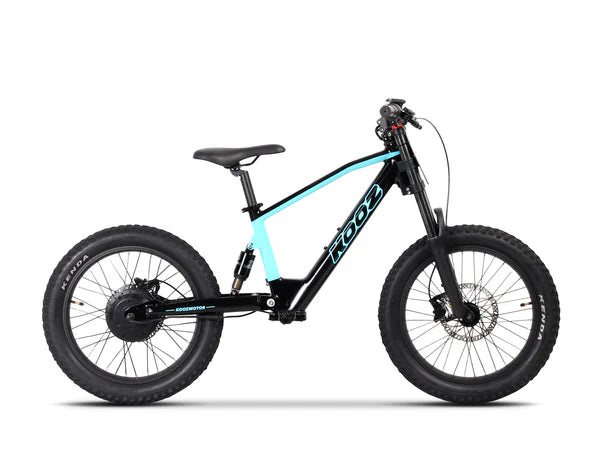 DHZ 20" 750W Electric Balance Bike, Rear Brushless Motor ⚡⚡⚡ETA 10/10/25