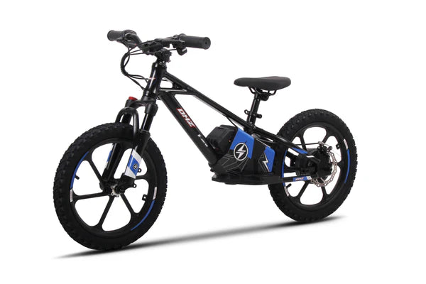 DHZ 16" 800W Electric Balance Bike, Removable Battery, Brushless Hub Motor ⚡⚡⚡