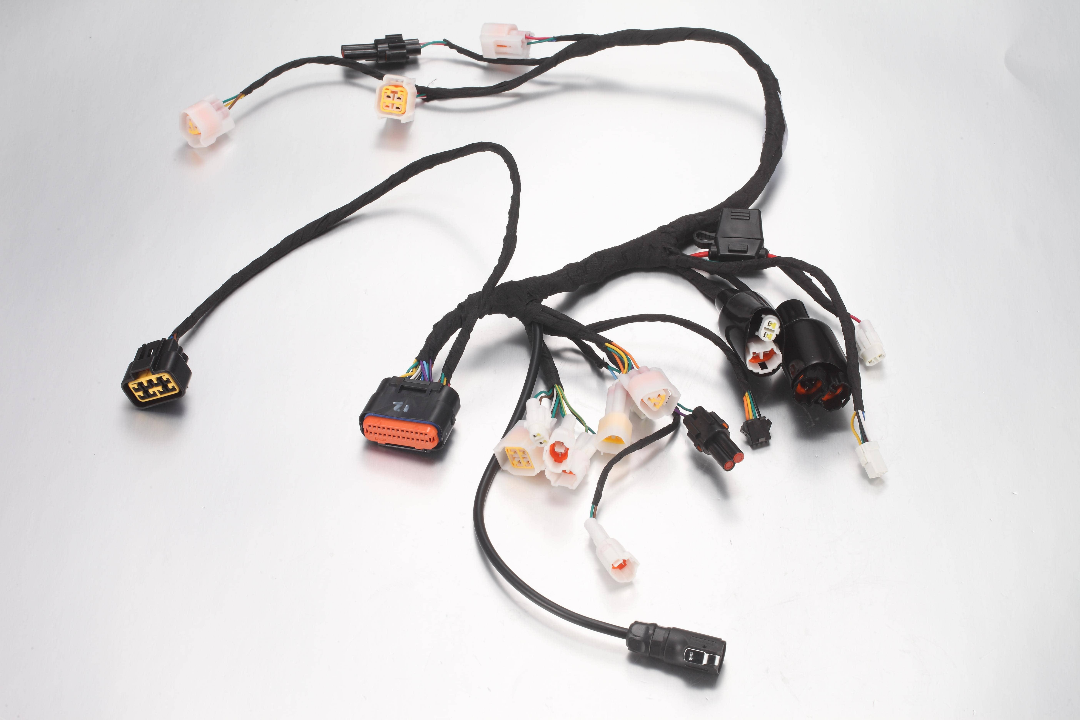 E Ride Pro E6028 Main wiring harness (MINI)
