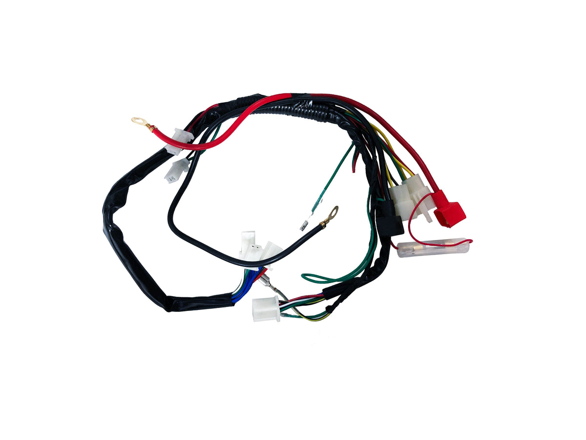 ZS 190cc, 212cc Electric Start Engine Wiring Harness,