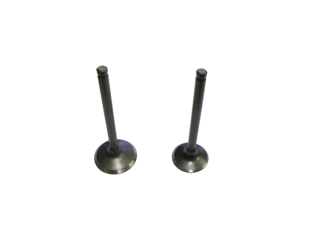 GPX125 Engine Exhaust/Inlet Valve Set