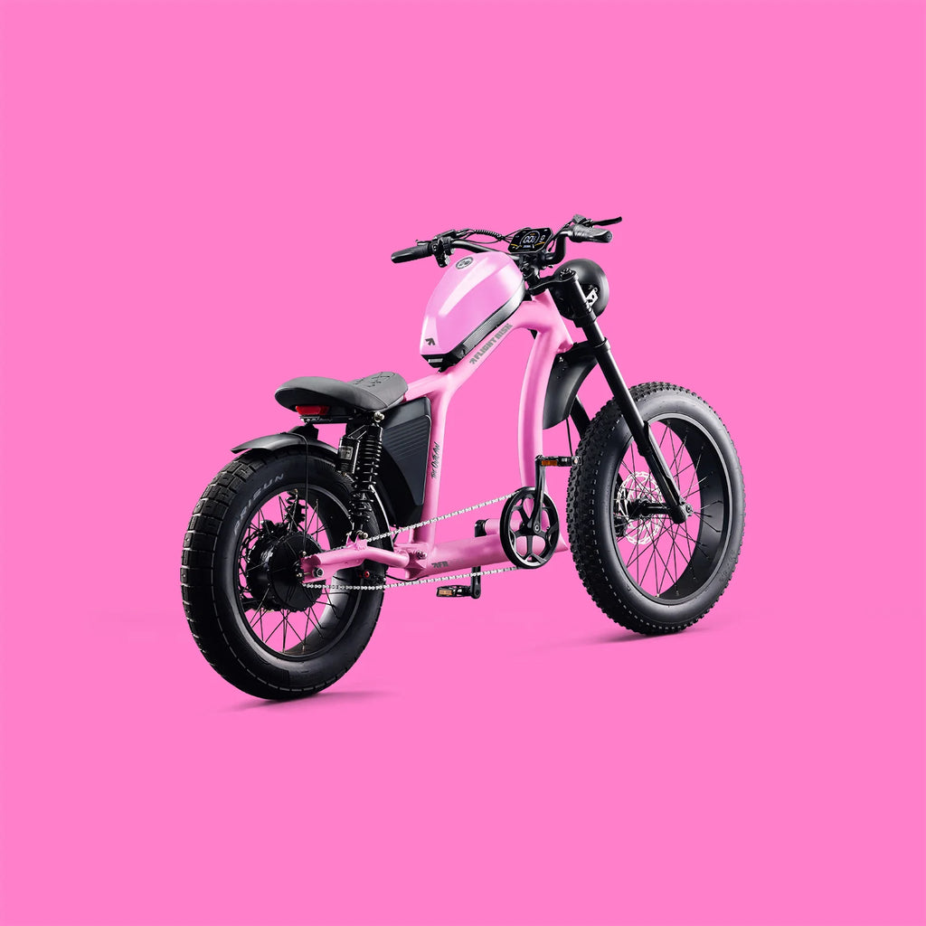 FLIGHT RISK FR666 CRUISER FAT TYRE E-BIKE ⚡⚡⚡