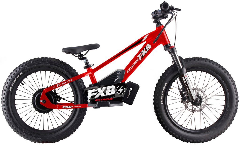 FXB01-20 Pro Cross - Electric Dirt Bike