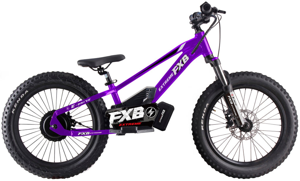 FXB01-20 Pro Cross - Electric Dirt Bike