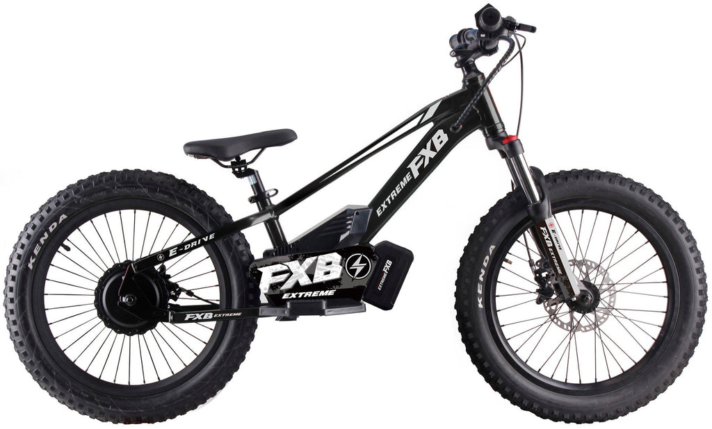 FXB01-20 Pro Cross - Electric Dirt Bike