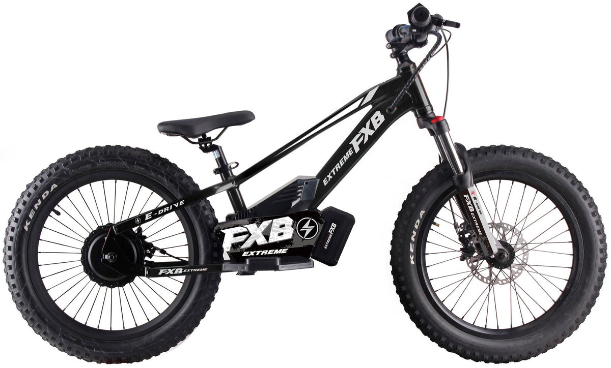 FXB01-20 Pro Cross - Electric Dirt Bike