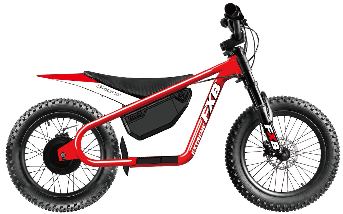 FXB04-16 Pro Cross - Electric Dirt Bike