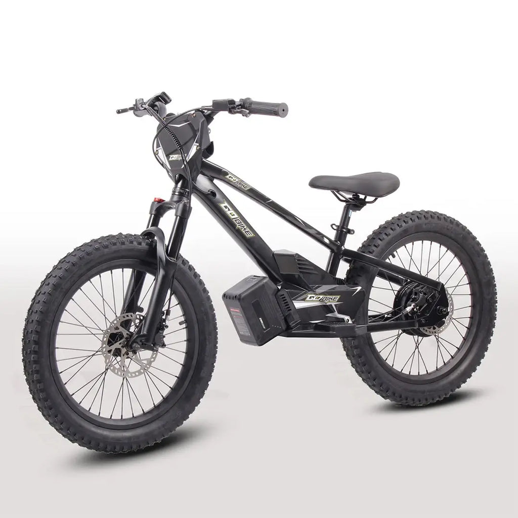 GoBike 20 Inch Electric Bike for Kids & Teens – Ages 9–16