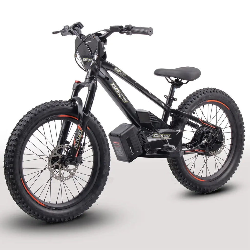 GoBike 20 Inch Electric Bike for Kids & Teens – Ages 9–16