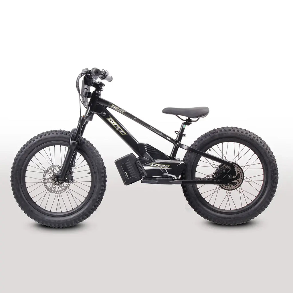 GoBike 20 Inch Electric Bike for Kids & Teens – Ages 9–16