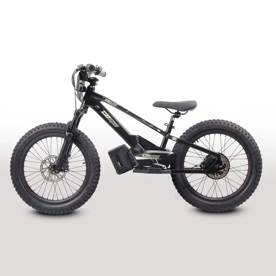 GoBike 20 Inch Electric Bike for Kids & Teens – Ages 9–16