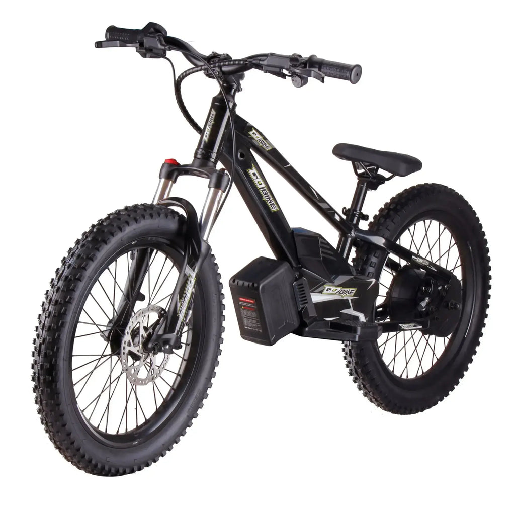 GoBike 20 Inch Electric Bike for Kids & Teens – Ages 9–16