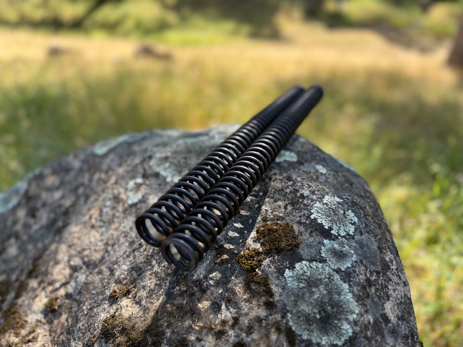 ETM RTR Mod Fork Springs ⚡⚡⚡