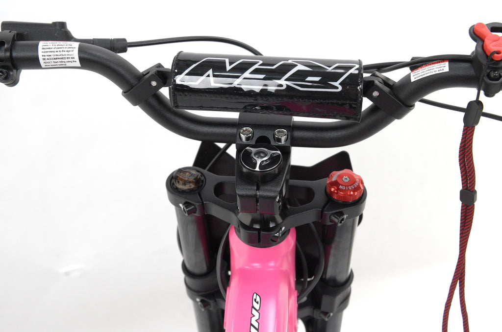 EVO Racing 18" Electric Bike ⚡⚡⚡