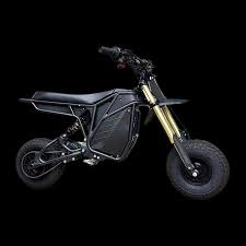 RONSTER RIDES RIZZLER BIKE