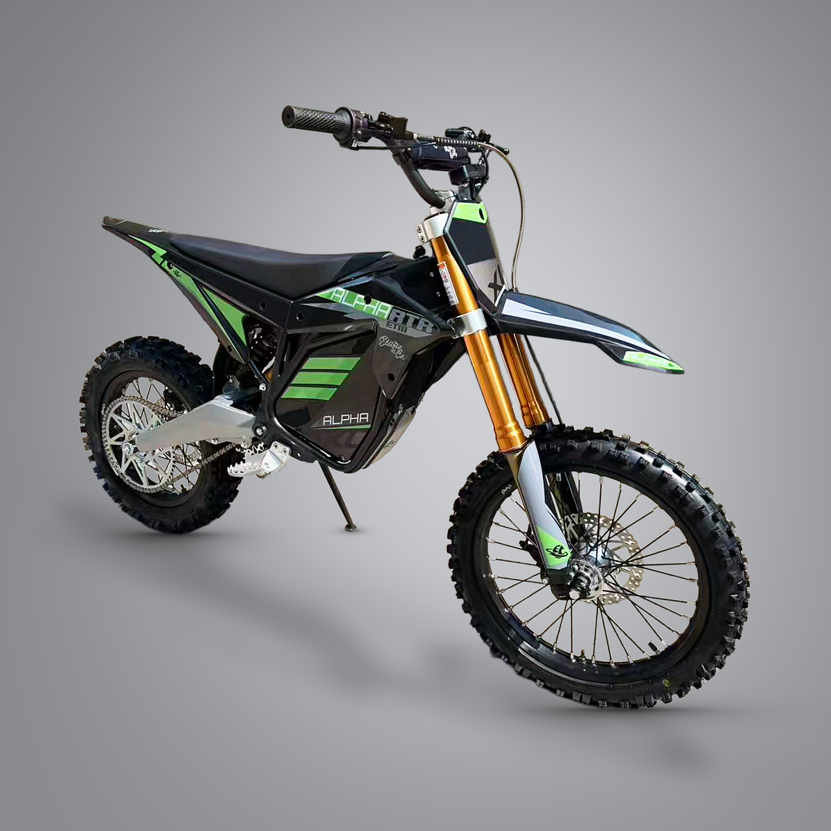 Electro & Co ETM RTR XL Alpha Electric Trail Bike