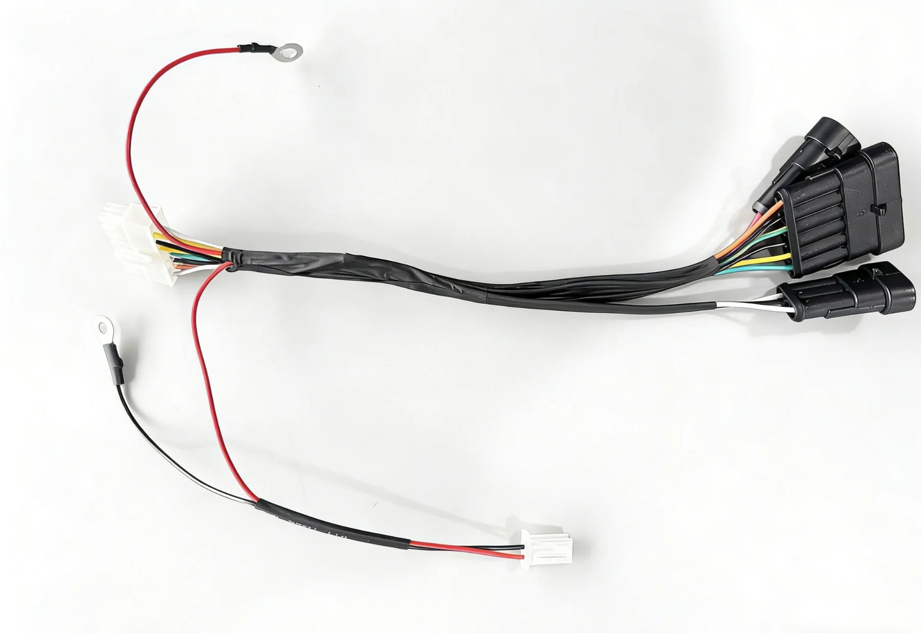 Main Harness - Rizzler 2026