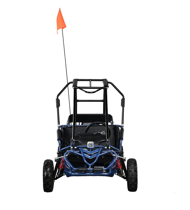 HAMMERHEAD TORPEDO 208cc KIDS BUGGY 😎😎😎