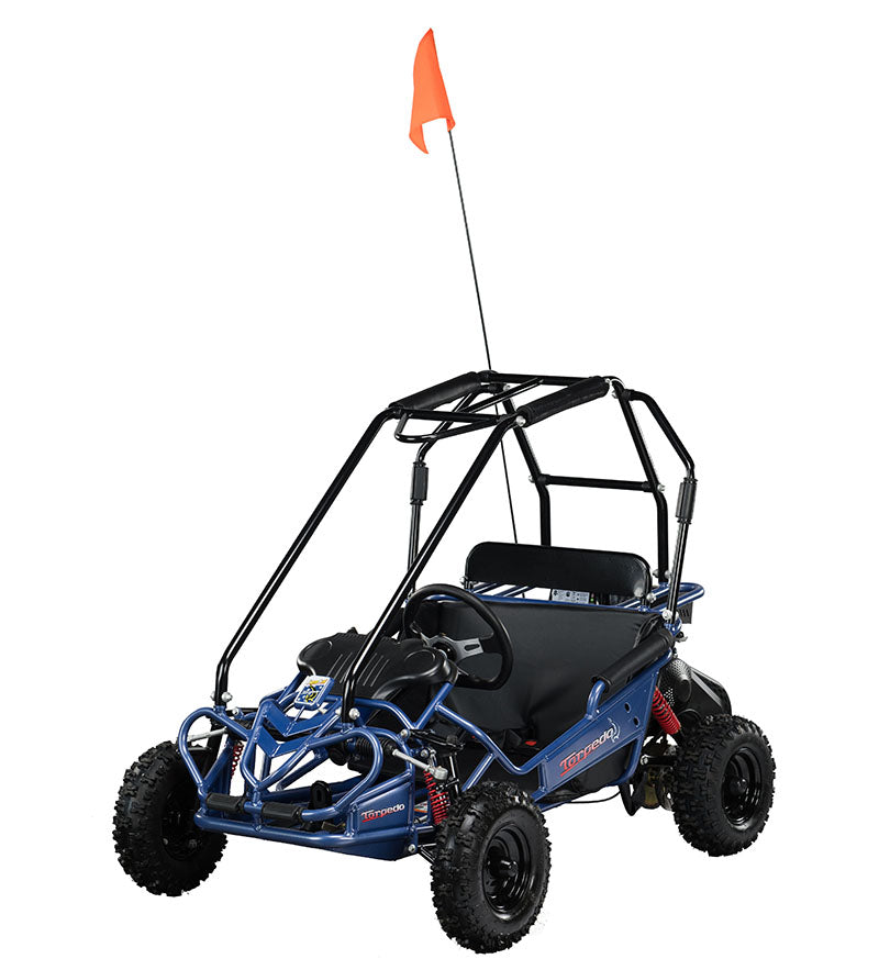 HAMMERHEAD TORPEDO 208cc KIDS BUGGY 😎😎😎