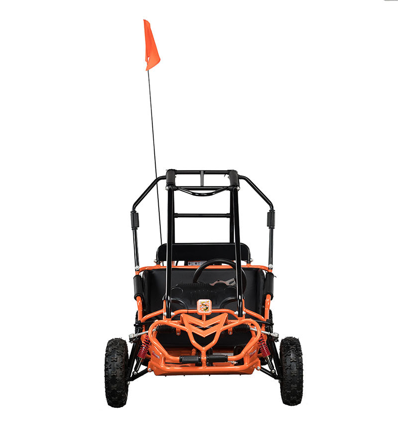 HAMMERHEAD TORPEDO 208cc KIDS BUGGY 😎😎😎