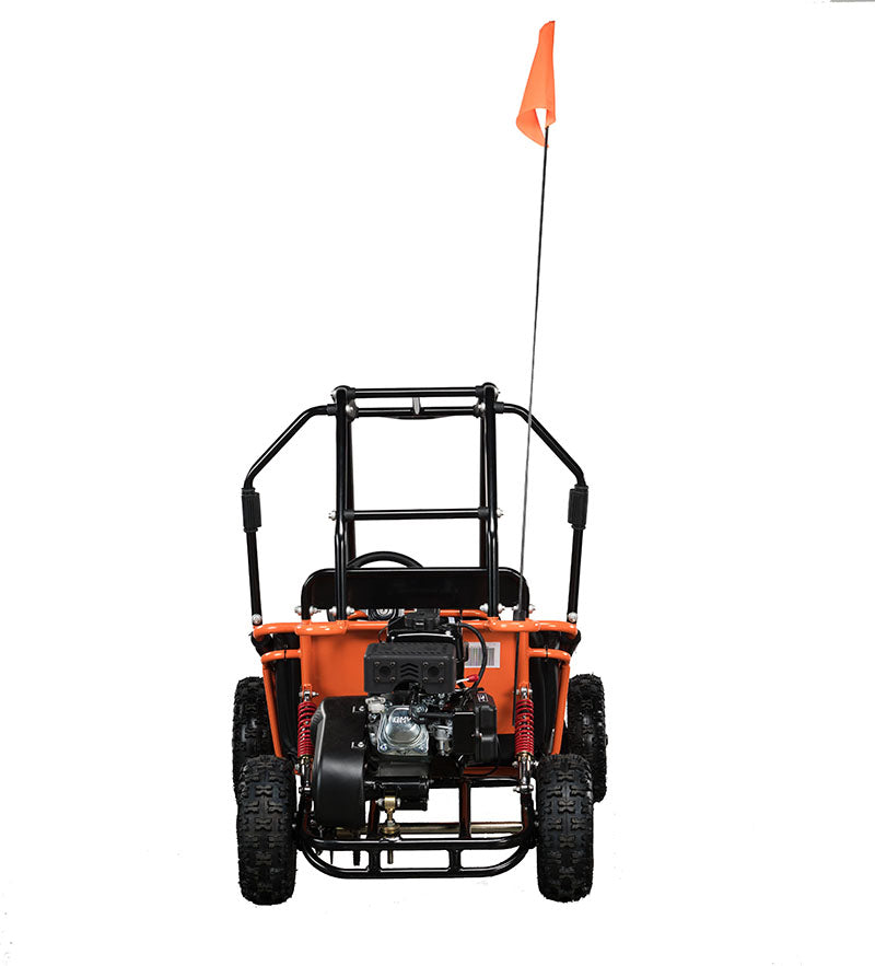 HAMMERHEAD TORPEDO 208cc KIDS BUGGY 😎😎😎