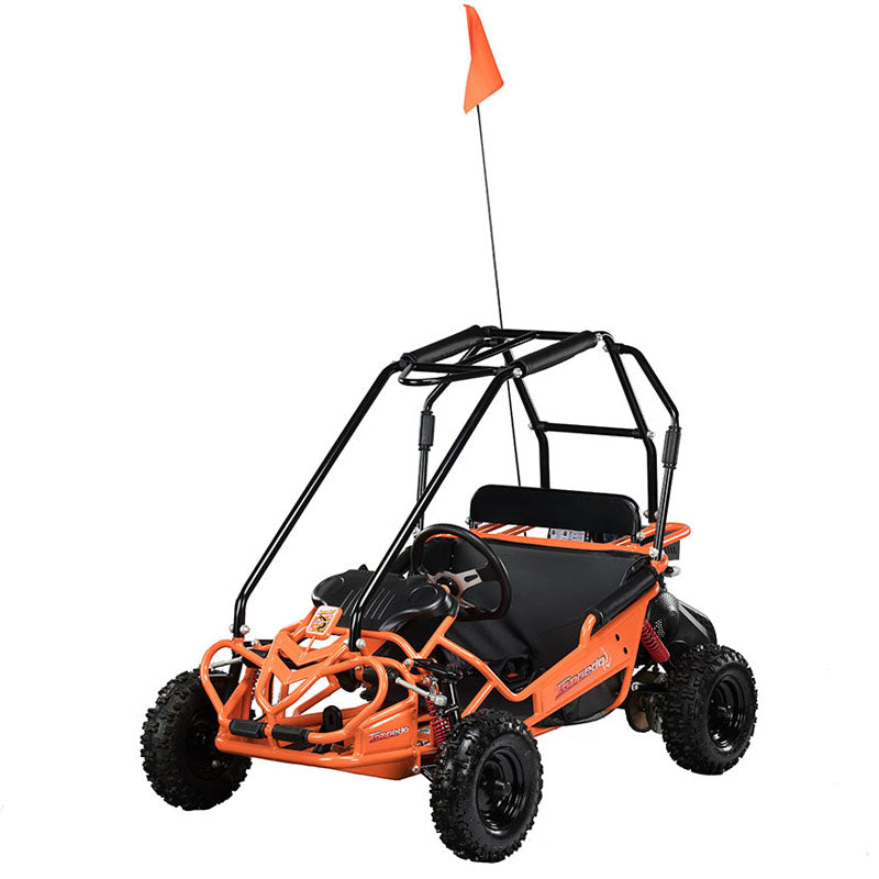 HAMMERHEAD TORPEDO 208cc KIDS BUGGY 😎😎😎