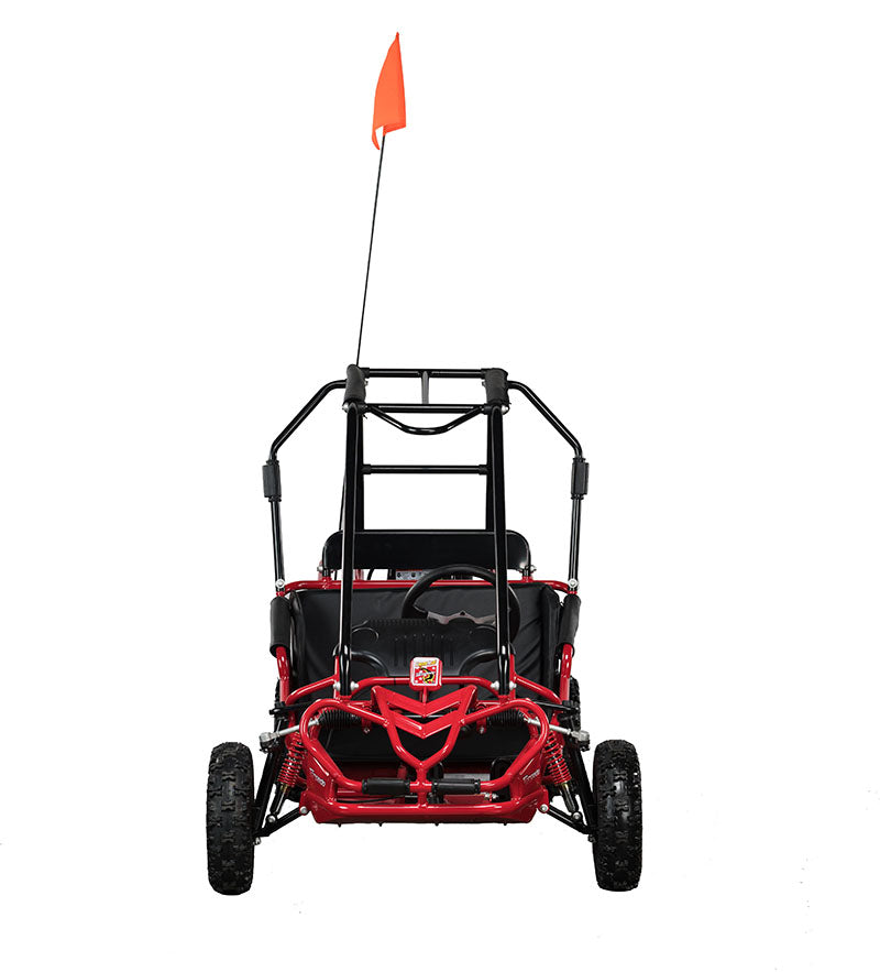 HAMMERHEAD TORPEDO 208cc KIDS BUGGY 😎😎😎