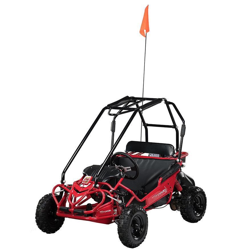 HAMMERHEAD TORPEDO 208cc KIDS BUGGY 😎😎😎